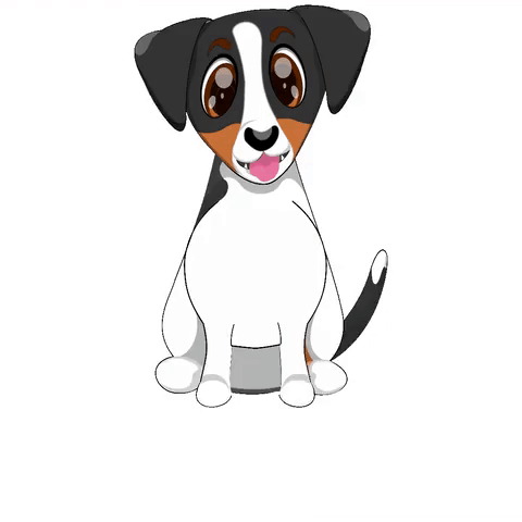 Salir con mis mascotas